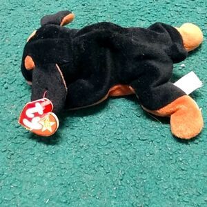 The dog named Doby 